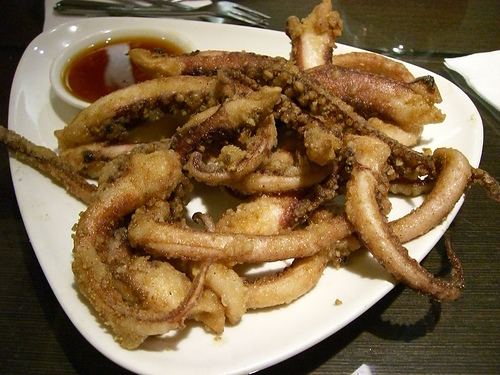 Squid